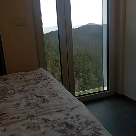 Leona B-3 דירה *