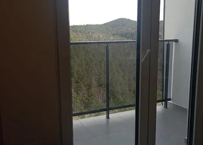 Leona B-3 Apartman Divcibare